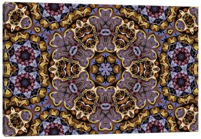 Cannabis Kaleidoscope VII Canvas Art Print - Psychedelic & Trippy Art