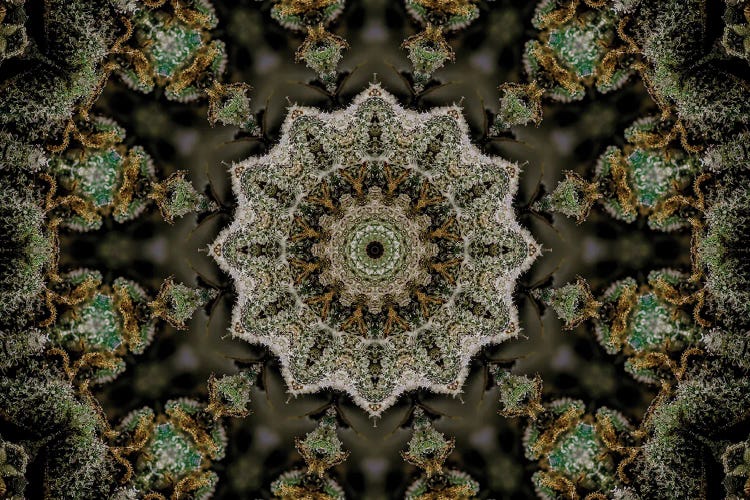 Cannabis Kaleidoscope XXII