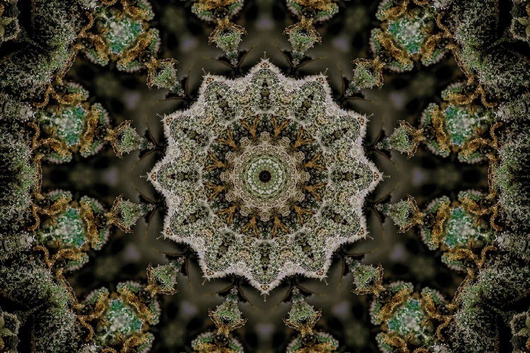 Cannabis Kaleidoscope XXII