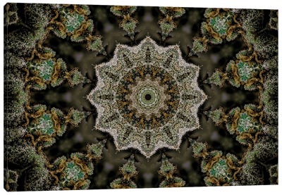 Cannabis Kaleidoscope XXII Canvas Art Print - Psychedelic & Trippy Art
