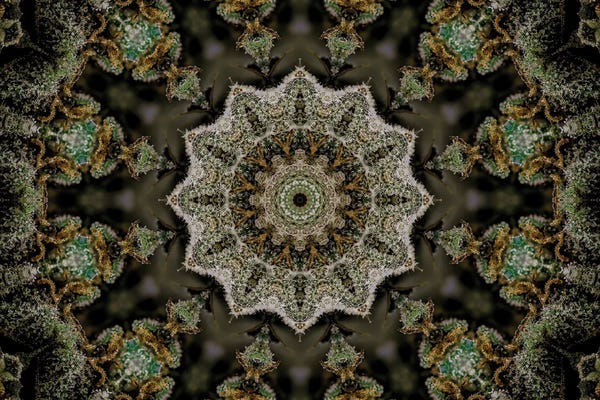 Naum Dorkhman: Cannabis Kaleidoscope XXII by Naum Dorkhman