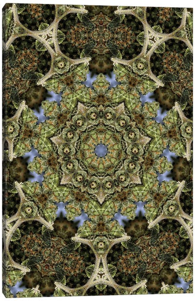 Cannabis Kaleidoscope XXVII Canvas Art Print - Psychedelic & Trippy Art