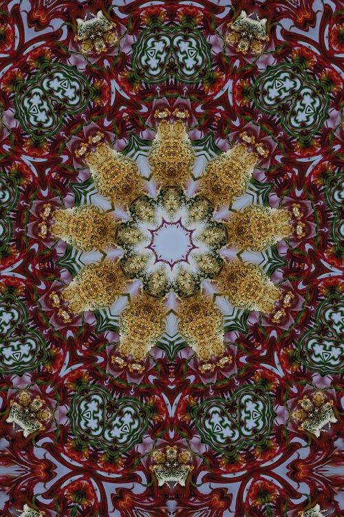 Cannabis Kaleidoscope XXV