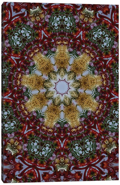 Cannabis Kaleidoscope XXV Canvas Art Print - Psychedelic & Trippy Art