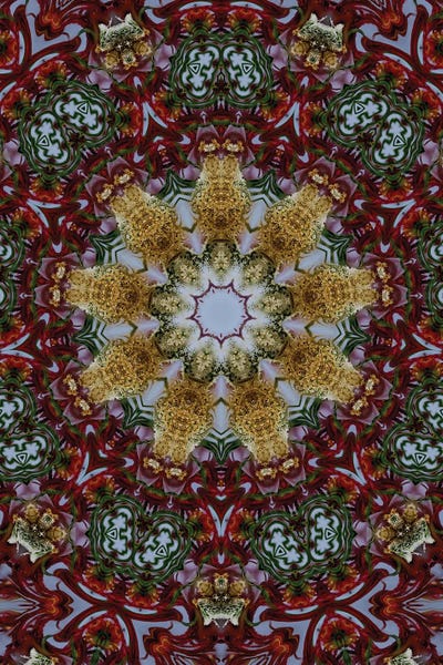 Naum Dorkhman: Cannabis Kaleidoscope XXV by Naum Dorkhman