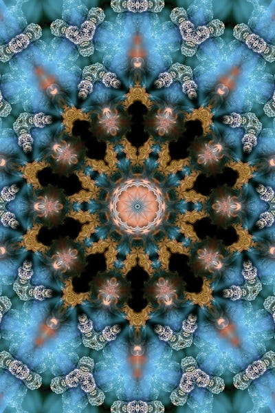 Cannabis Kaleidoscope XVIII by Naum Dorkhman framed wall art