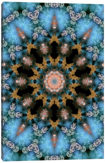 Cannabis Kaleidoscope XVIII Canvas Art Print - Naum Dorkhman