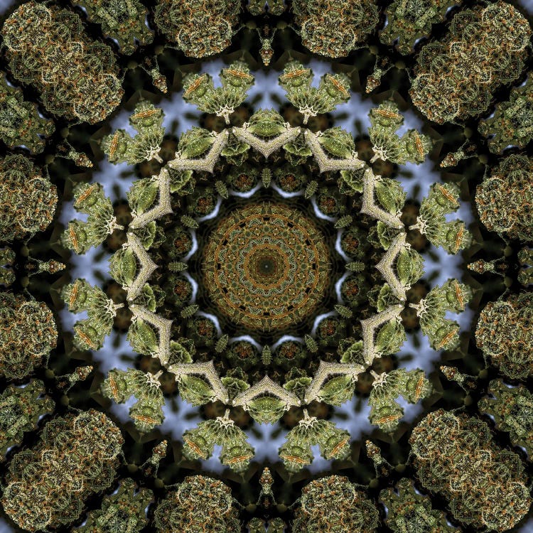 Cannabis Kaleidoscope XIII