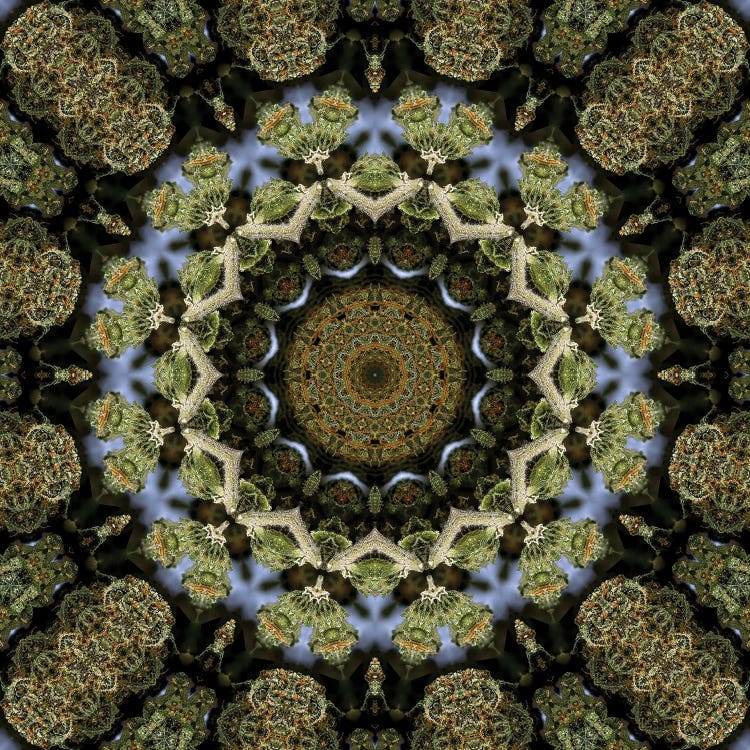 Cannabis Kaleidoscope XIII