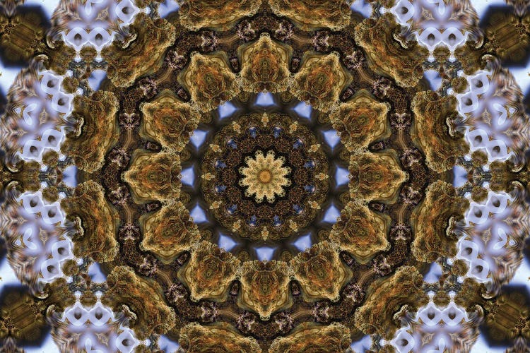 Cannabis Kaleidoscope XXIV by Naum Dorkhman wall art