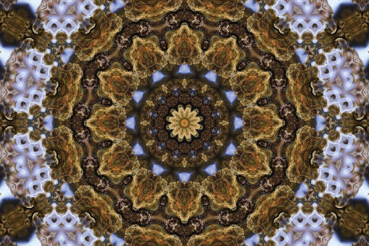 Cannabis Kaleidoscope XXIV