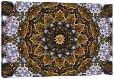 Cannabis Kaleidoscope XXIV Canvas Art Print - Naum Dorkhman