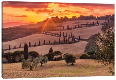 Under The Tuscan Sun (Tuscany, Italy) Canvas Art Print - Golden Hour