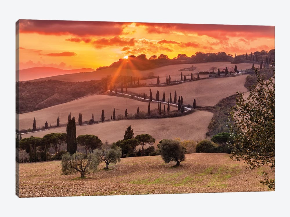 Under The Tuscan Sun (Tuscany, Italy) by Chano Sánchez 1-piece Canvas Print