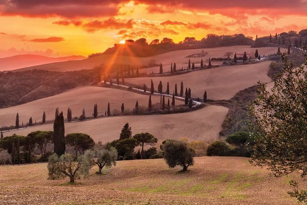 Chano Sánchez: Under The Tuscan Sun (Tuscany, Italy) by Chano Sánchez