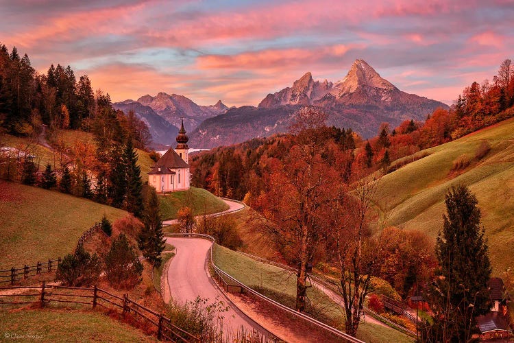 Pink Dream (Bavaria, Germany)