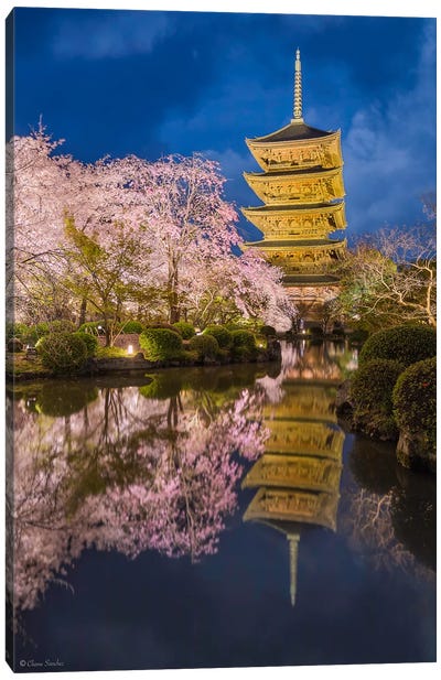 Sakura Nights (Kyoto, Japan) Canvas Art Print - Pagodas
