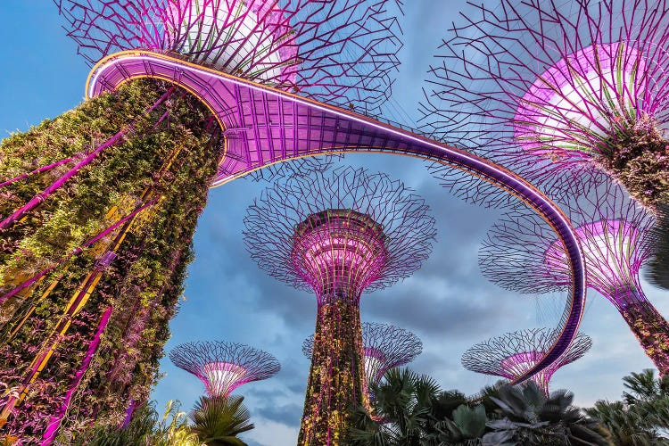 Trees From Another World (Singapore)