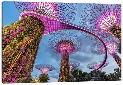 Trees From Another World (Singapore) Canvas Art Print - Chano Sanchez