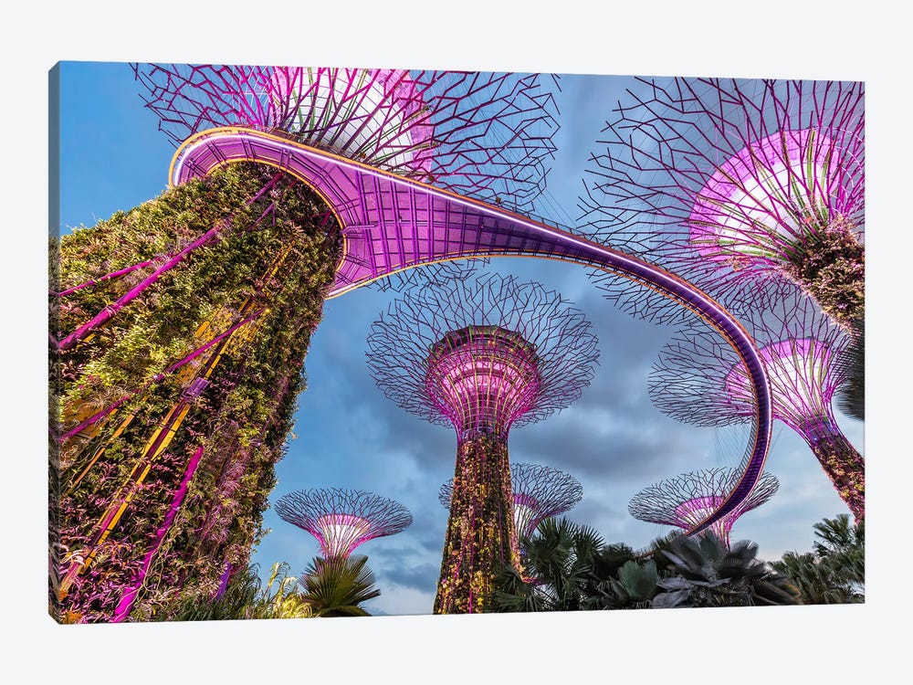 Trees From Another World (Singapore) by Chano Sánchez 1-piece Canvas Print