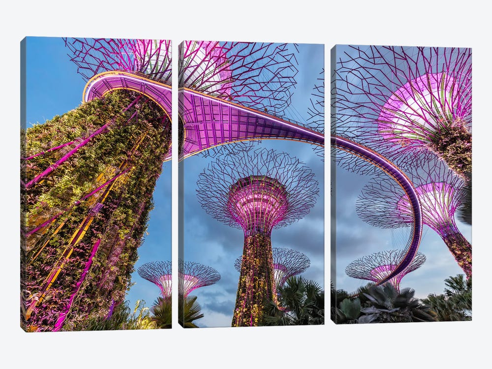 Trees From Another World (Singapore) by Chano Sánchez 3-piece Canvas Art Print