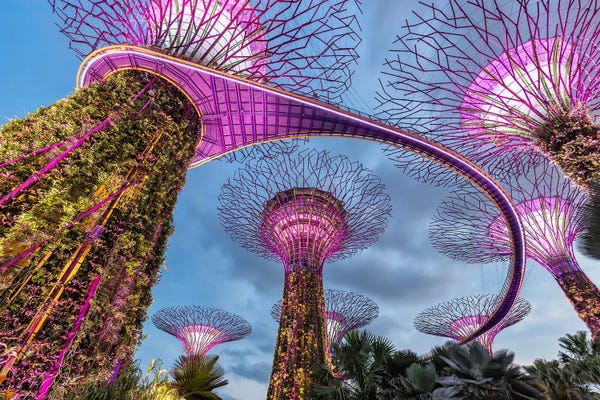 Singapore: Trees From Another World (Singapore) by Chano Sánchez