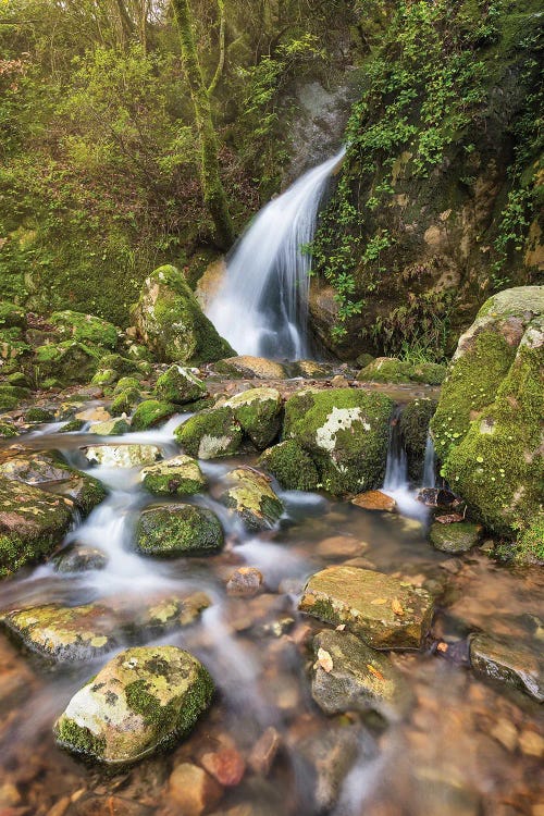 After Rainfall (Málaga, Spain)