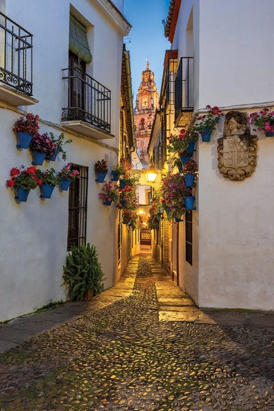 Chano Sánchez: Between Flowerpots (Córdoba, Spain) by Chano Sánchez