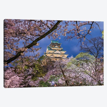 Cherry Blossom Explosion (Osaka, Japan) Canvas Print #CNS29} by Chano Sánchez Canvas Print