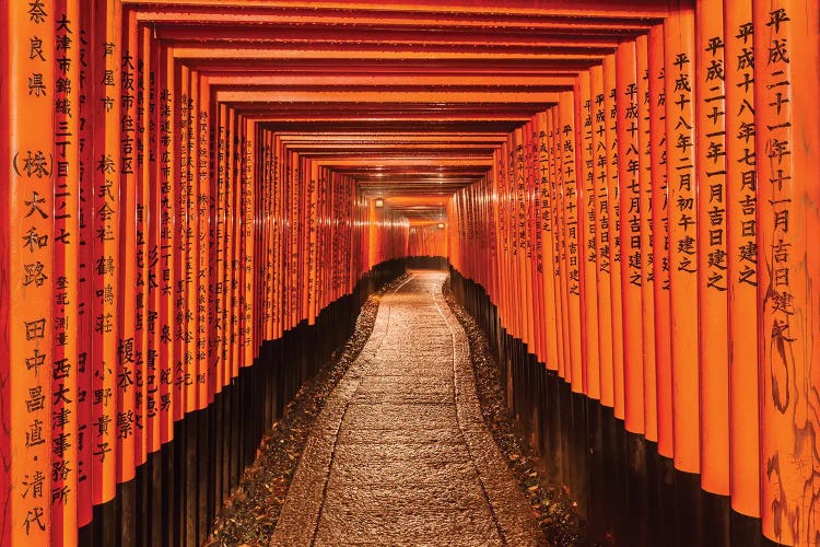 Gates To Prosperity (Kyoto, Japan) by Chano Sánchez wall art
