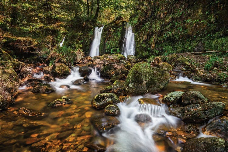 Hidden Nature (Wicklow, Ireland)