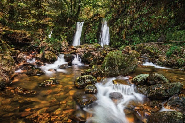 Chano Sánchez: Hidden Nature (Wicklow, Ireland) by Chano Sánchez