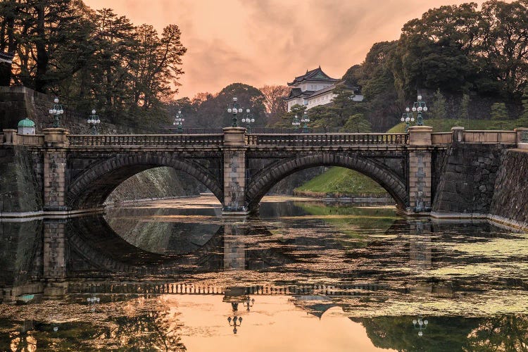 Imperial Warmth (Tokyo, Japan)