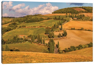 Road To My Destiny (Tuscany, Italy) Canvas Art Print - Tuscany Art