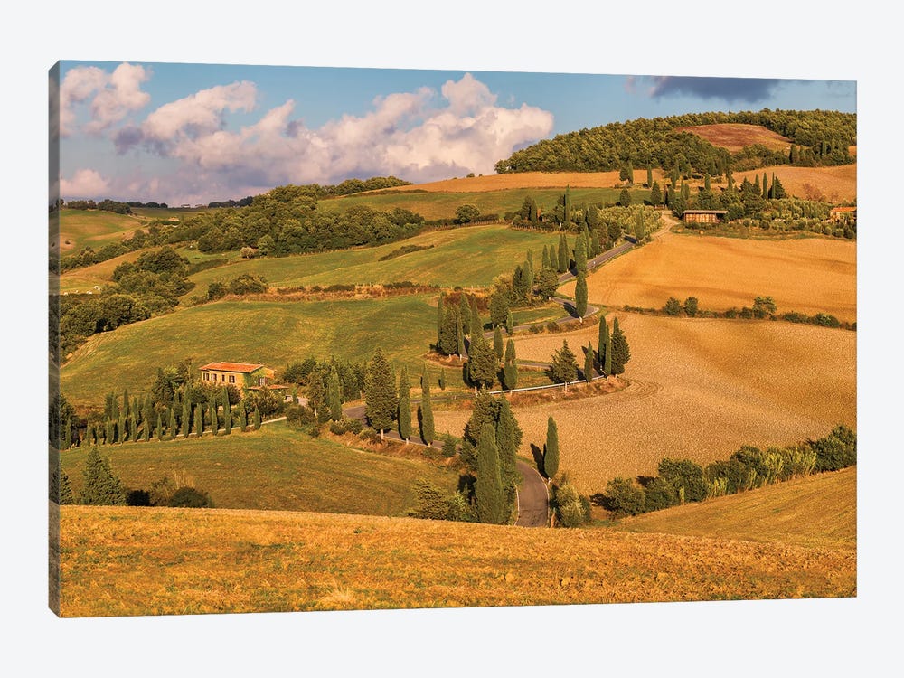 Road To My Destiny (Tuscany, Italy) by Chano Sánchez 1-piece Canvas Art