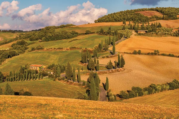 Hillsides: Road To My Destiny (Tuscany, Italy) by Chano Sánchez