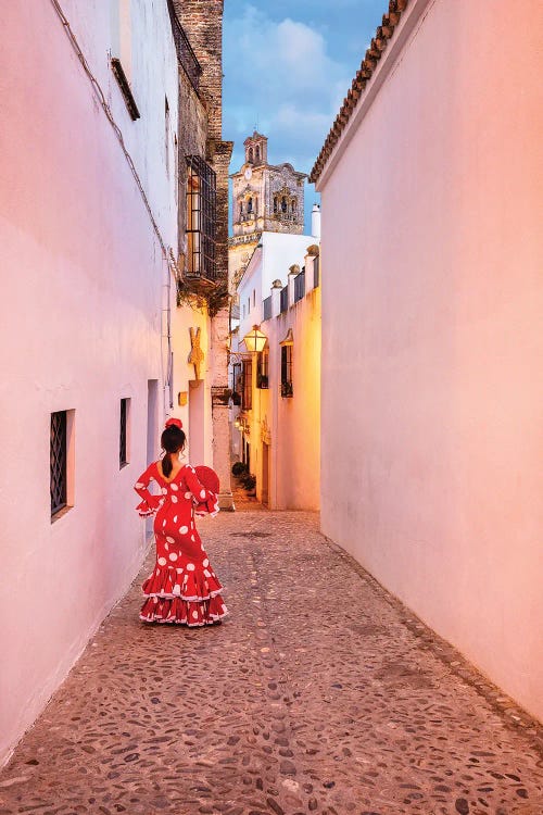 That Pretty Gypsy! (Arcos De La Frontera, Spain)