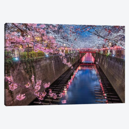 The Beginning Of Sakura (Tokyo, Japan) Canvas Print #CNS84} by Chano Sánchez Canvas Artwork