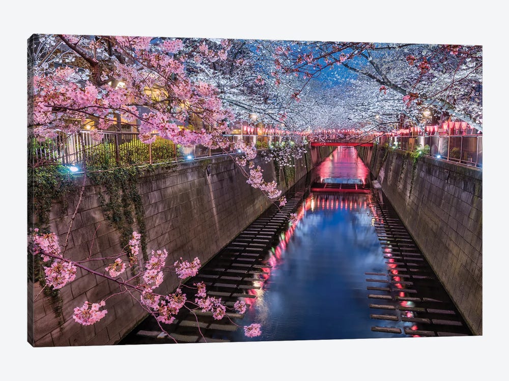 The Beginning Of Sakura (Tokyo, Japan) by Chano Sánchez 1-piece Canvas Art Print