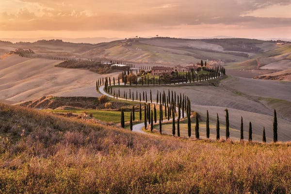 Chano Sánchez: Tuscan Essence (Tuscany, Italy) by Chano Sánchez