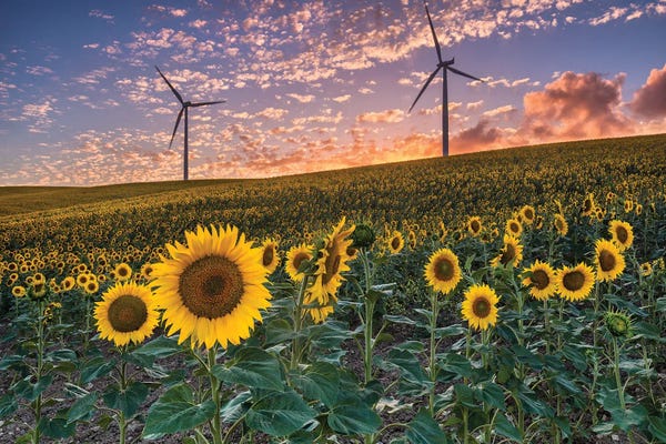 Watermills & Windmills: Twists Of Fate (Cádiz, Spain) by Chano Sánchez