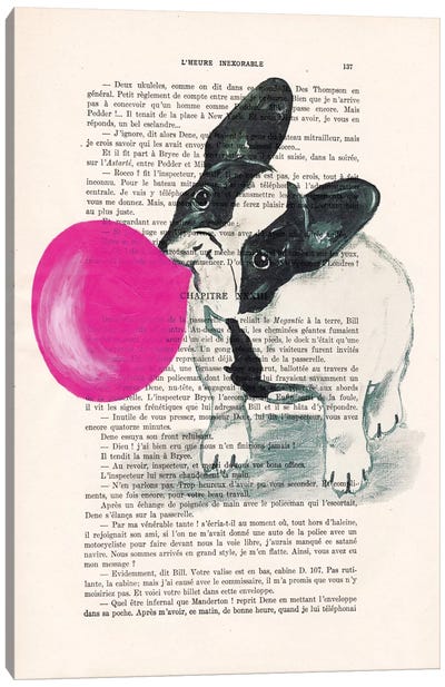 French Bulldog With Bubblegum Canvas Art Print - Book Illustrations 