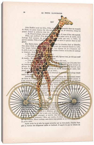 Giraffe On Bicycle Canvas Art Print - Giraffe Art