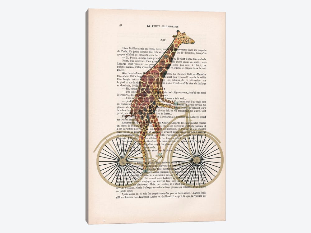 Giraffe On Bicycle by Coco de Paris 1-piece Canvas Artwork