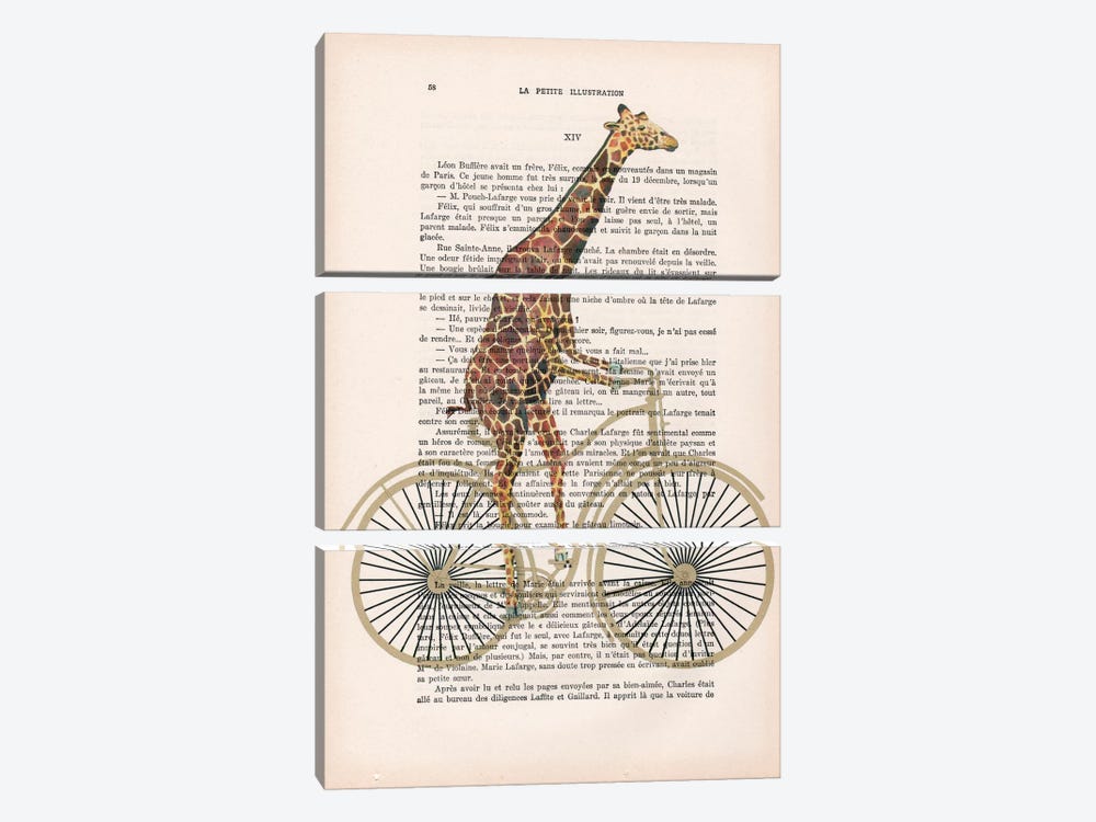 Giraffe On Bicycle by Coco de Paris 3-piece Canvas Art