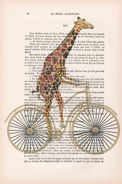 Giraffes: Giraffe On Bicycle by Coco de Paris