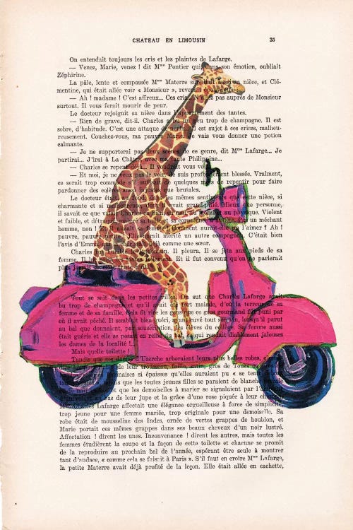 Giraffe On Motorbike