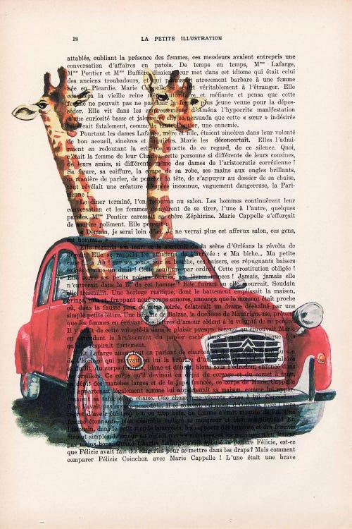 Giraffes In French Red Car