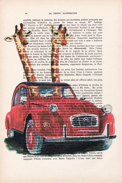 Giraffes: Giraffes In French Red Car by Coco de Paris