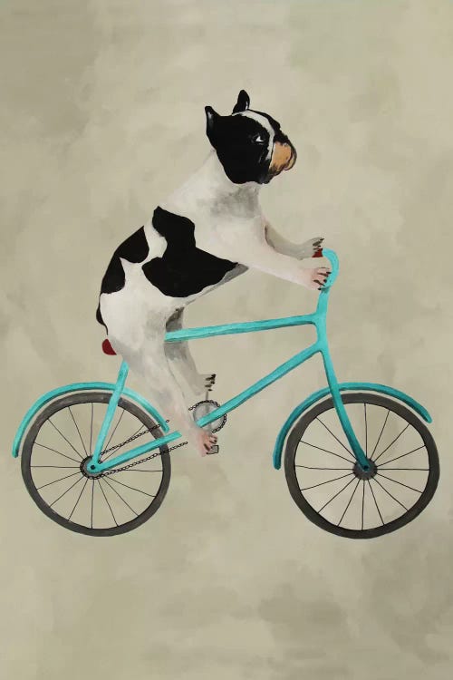 Bulldog On Bicycle